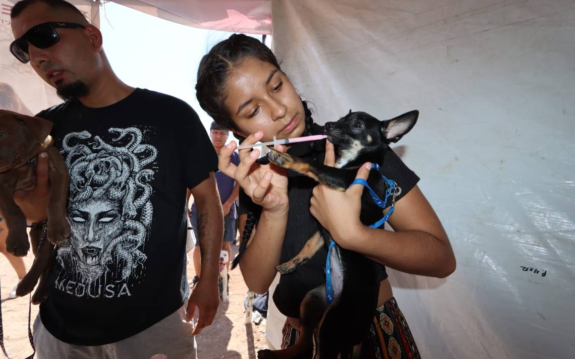 Department of Ecology’s Participation in Pet Vaccination and Deworming Program at Crusade for Juárez