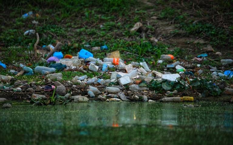 Botellas, cubiertos, bolsas… Este es el plástico desechable que