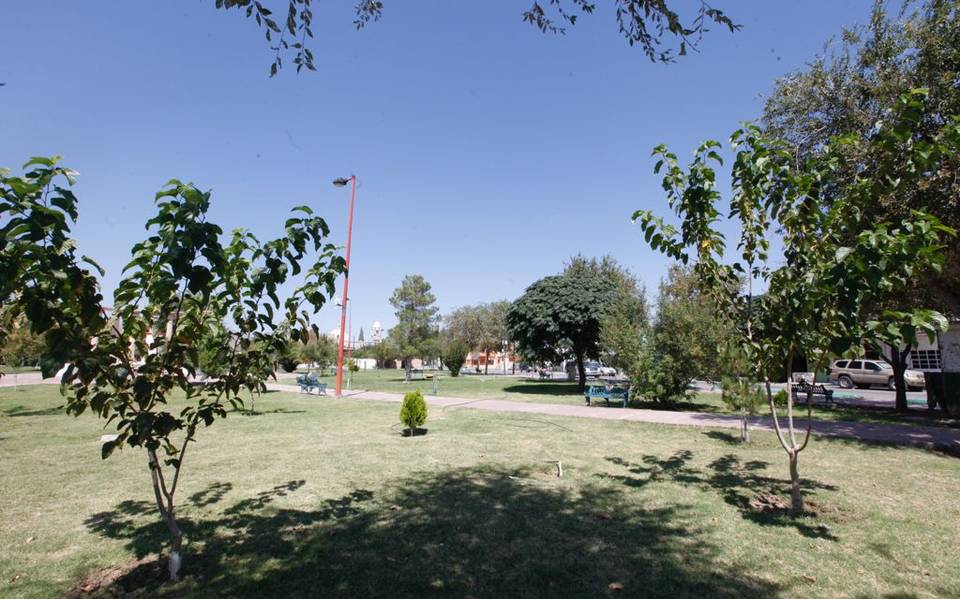 Revisan cuántos árboles hay en Ciudad Juárez - El Heraldo de Juárez |  Noticias Locales, Policiacas, sobre México, Chiahuahua y el Mundo