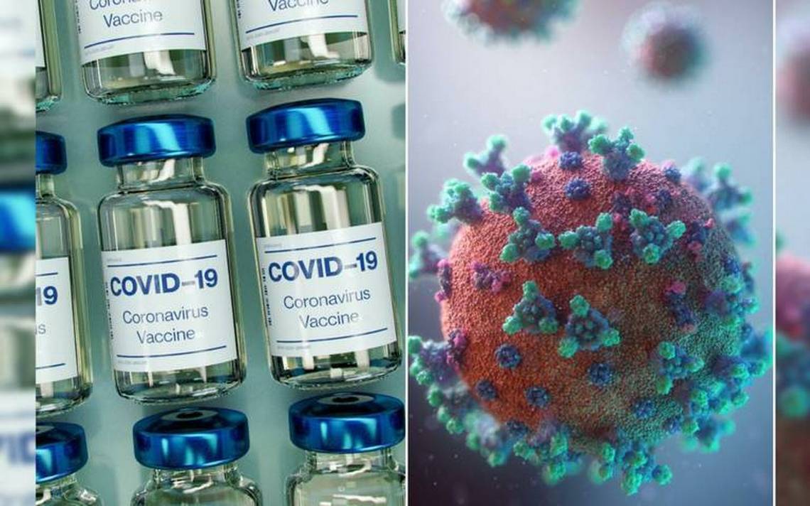 How long does a vaccine protect you against Covid-19?  Mathematical model reveals it – El Heraldo de Juárez