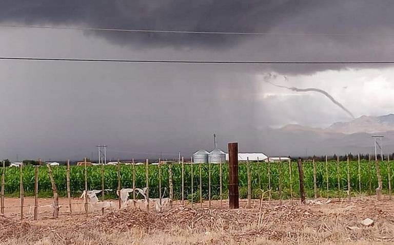 Se registra tornado en Nuevo Casas Grandes noticias Chihuahua Clima fuertes  lluvias - El Heraldo de Juárez | Noticias Locales, Policiacas, sobre  México, Chiahuahua y el Mundo